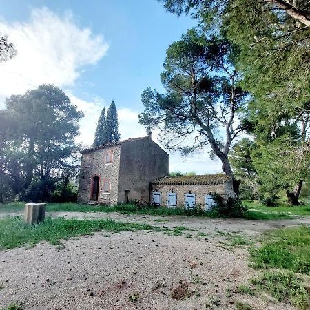 Mazet Du Chateau Joyeux De Violet Pépieux Dış mekan fotoğraf