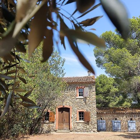 Mazet Du Chateau Joyeux De Violet Pépieux Dış mekan fotoğraf
