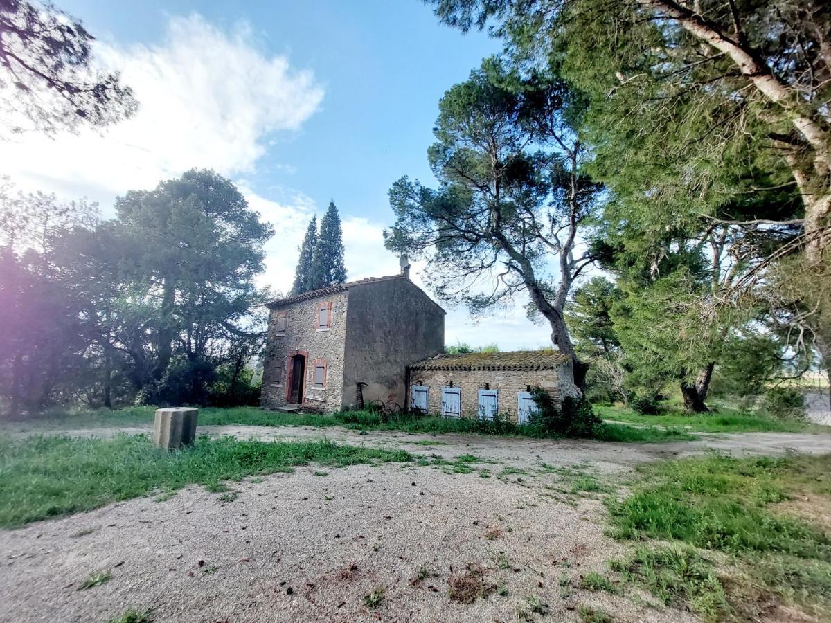 Mazet Du Chateau Joyeux De Violet Pépieux Dış mekan fotoğraf