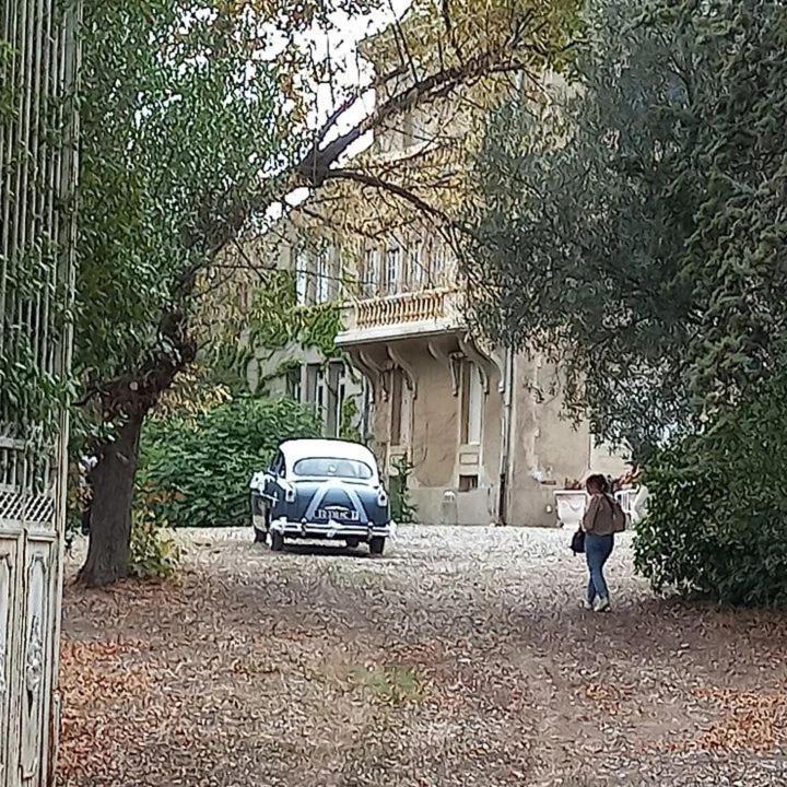 Mazet Du Chateau Joyeux De Violet Pépieux Dış mekan fotoğraf
