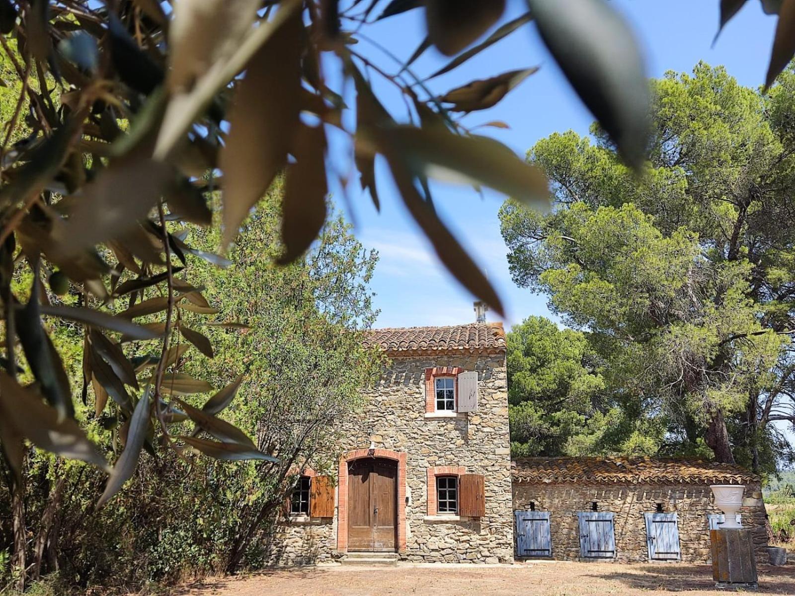 Mazet Du Chateau Joyeux De Violet Pépieux Dış mekan fotoğraf